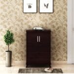 2 Door Shoe Cabinet in Wenge Finish